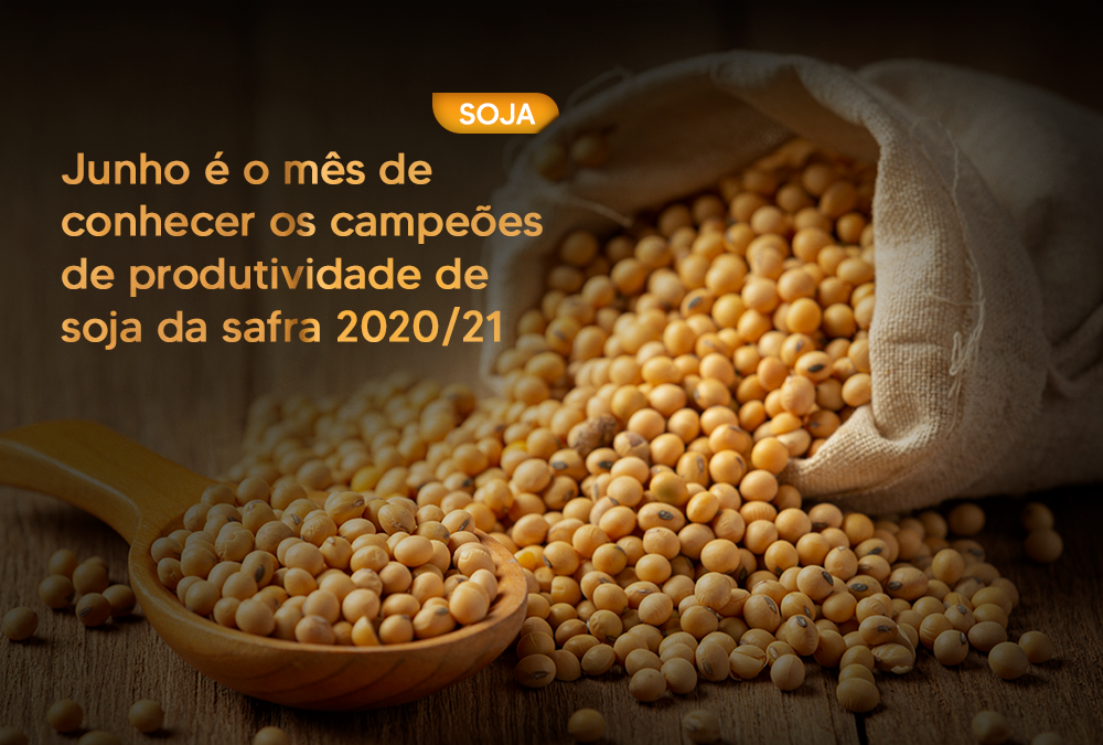 Junho é o mês de conhecer os campeões de produtividade de soja da safra 2020/21