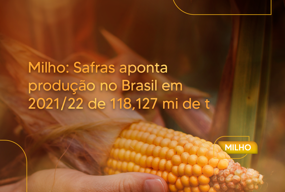 Milho: Safras aponta produção no Brasil em 2021/22 de 118,127 mi de t