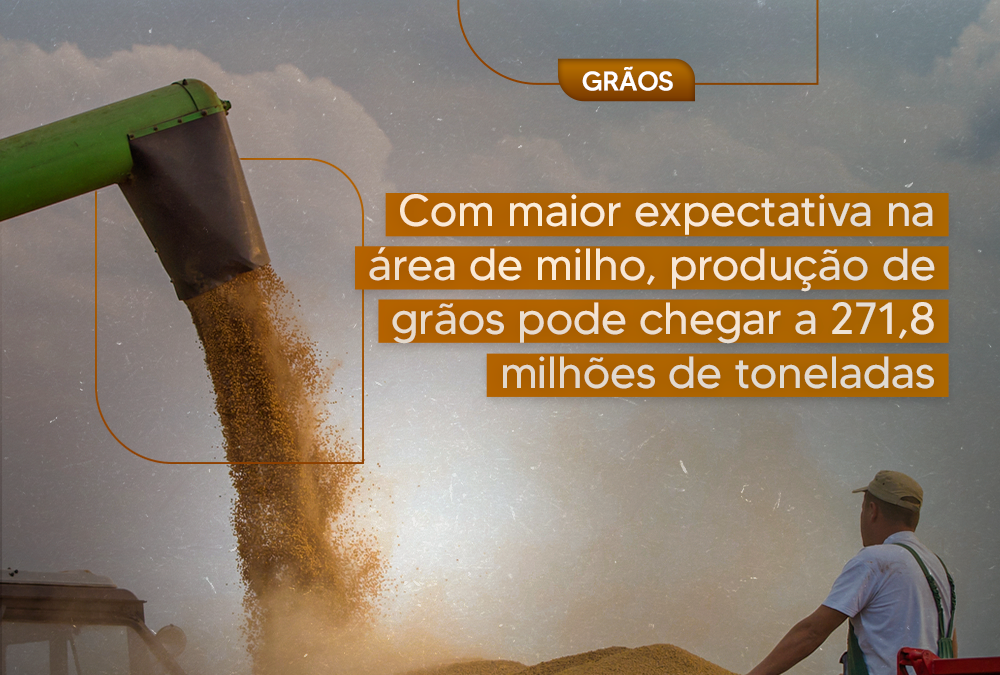 Com maior expectativa na área de milho, produção de grãos pode chegar a 271,8 milhões de toneladas