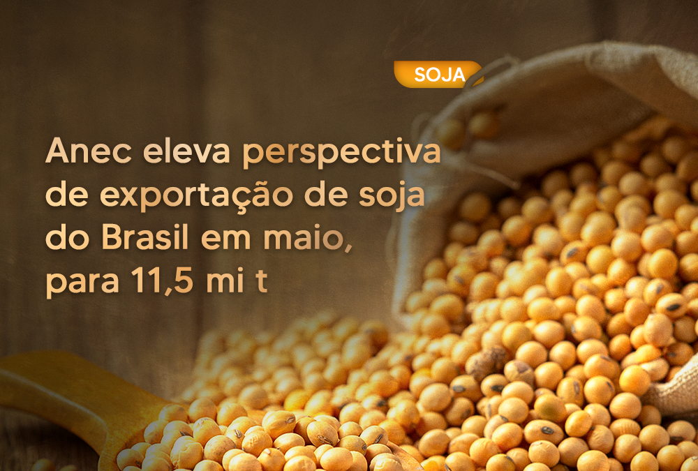 Anec eleva perspectiva de exportação de soja do Brasil em maio, para 11,5 mi t