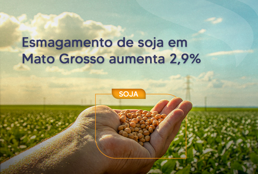 Esmagamento de soja em Mato Grosso aumenta 2,9%