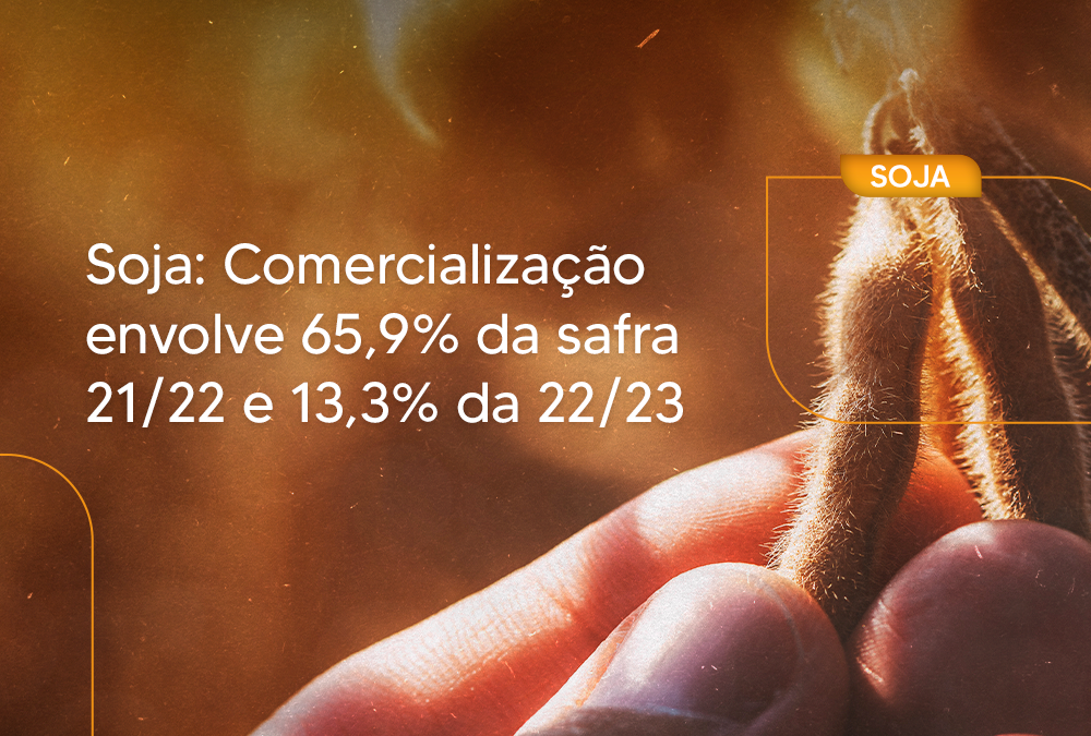 Soja: Comercialização envolve 65,9% da safra 21/22 e 13,3% da 22/23