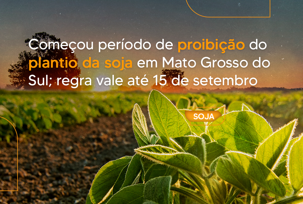 Começa período de proibição do plantio da soja em Mato Grosso do Sul; regra vale até 15 de setembro