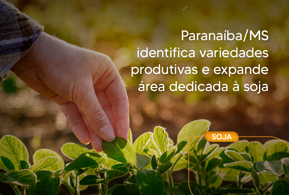 Paranaíba/MS identifica variedades produtivas e expande área dedicada à soja