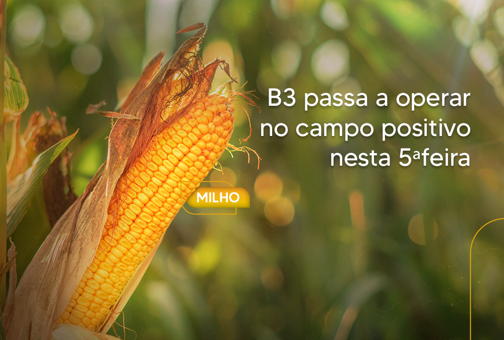 B3 passa a operar no campo positivo nesta 5ªfeira